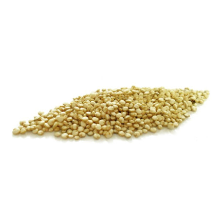 Natur'Inov - Vrac - Quinoa bio