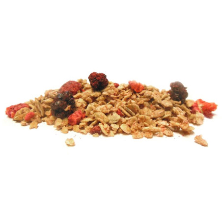 Natur'Inov - Vrac - Crunchy bio Fruits des bois Natur'Inov - Vrac - Crunchy bio Fruits des bois