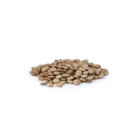 Natur'Inov - Vrac - Lentilles blondes laird bio Natur'Inov - Vrac - Lentilles blondes laird bio