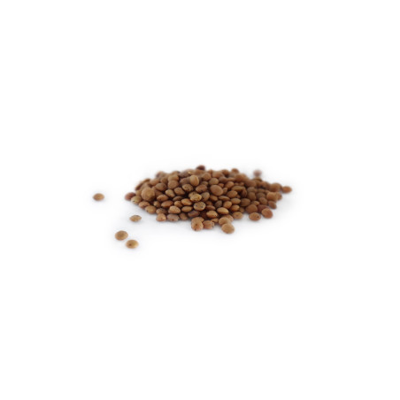 Natur'Inov - Vrac - Lentilles brunes bio Natur'Inov - Vrac - Lentilles brunes bio