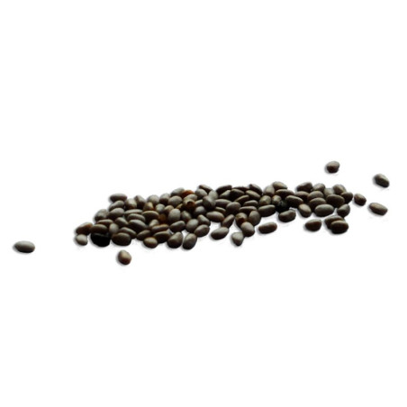 Natur'Inov - Vrac - Graines de chia noire bio Natur'Inov - Vrac - Graines de chia noire bio