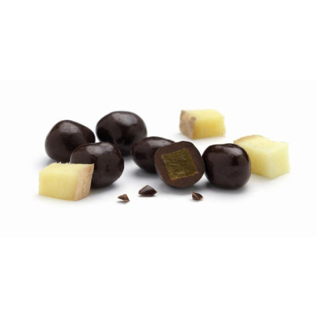 Bio gember pure chocolade
