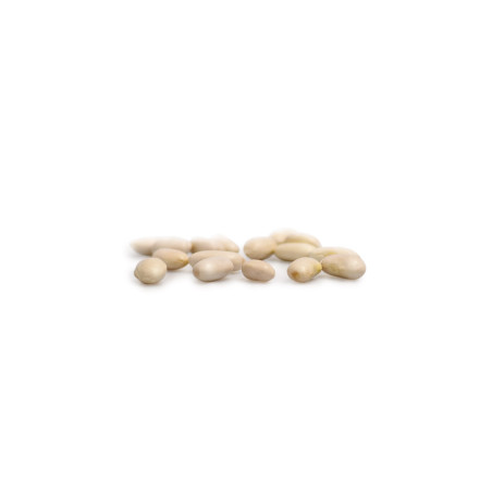 Natur'Inov - Vrac - Haricots blancs bio