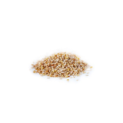 Natur'Inov - Vrac - Graines de sésame non-décortiquées bio