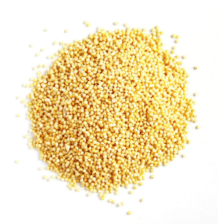 Natur'Inov - Vrac - Millet décortiqué bio 