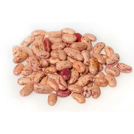 Natur'Inov - Vrac - Haricots rose pinto bio