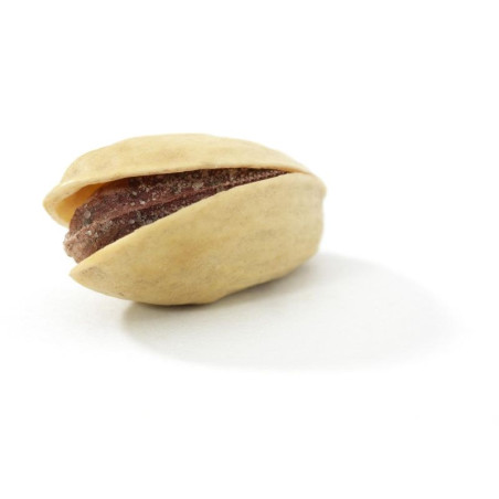 Bio Pistachenoten geroosterd & gezout