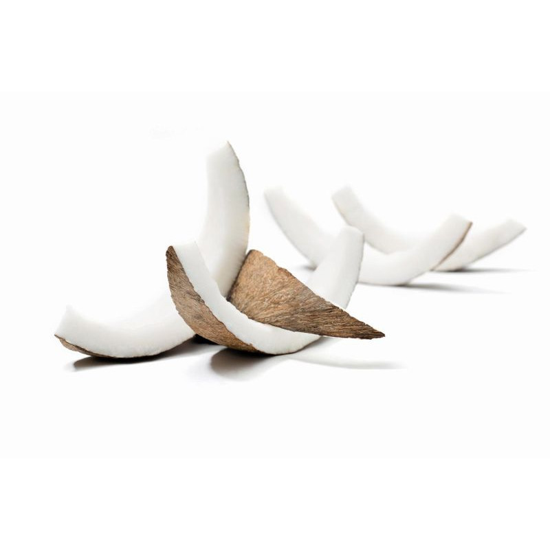 Natur'Inov - Vrac - Chips coco bio grillés