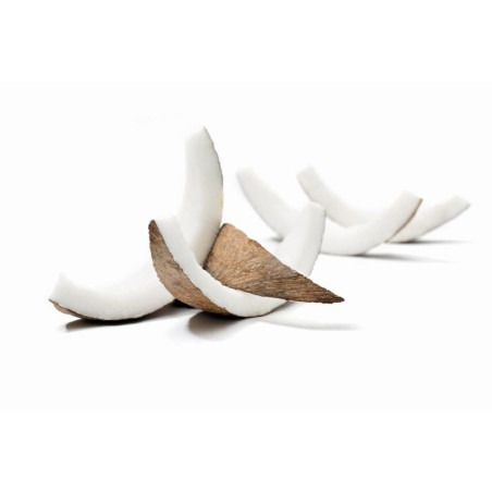 Natur'Inov - Vrac - Chips coco bio grillés