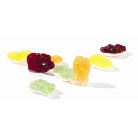 Natur'Inov - Vrac - Bonbons bio Frutti Jungle 2x1,5 kg