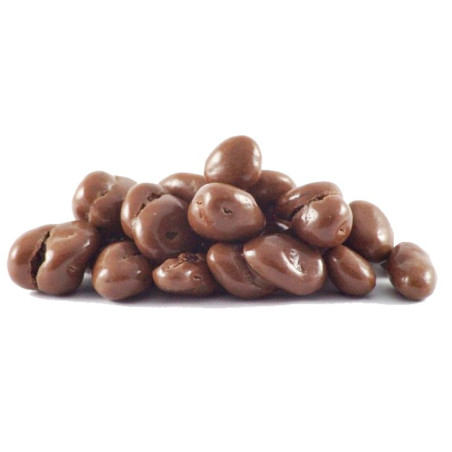 Bio Rozijnen melkchocolade