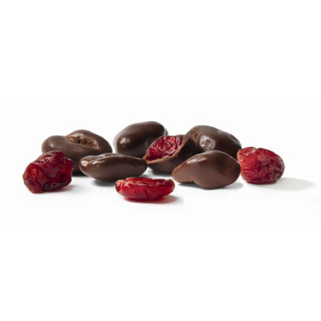 Bio cranberries pure chocolade