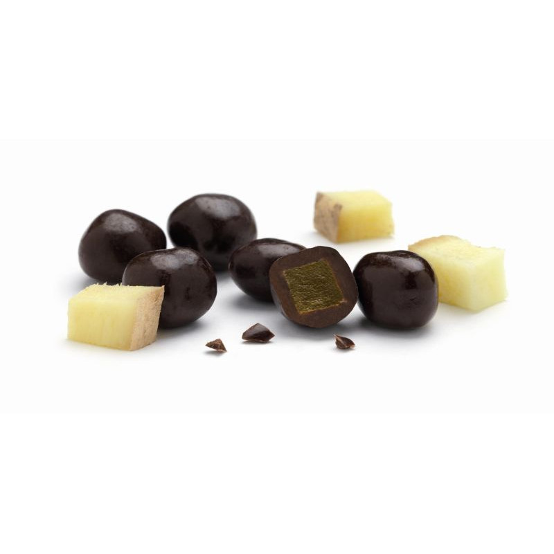 Bio gember pure chocolade